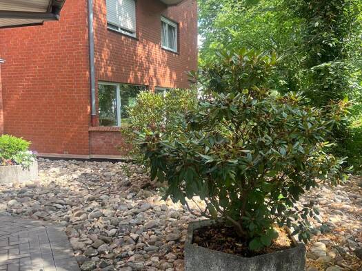 Wohnung zum Kauf 208.500 € 2,5 Zimmer 74 m² 1. Geschoss Bad Rothenfelde 49214