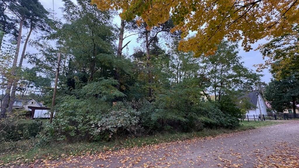 Grundstück zum Kauf provisionsfrei 299.000 € 1.378 m² Grundstück Karlstraße Rehfelde 15345