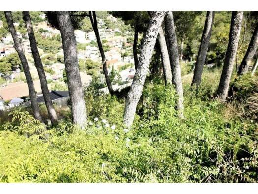 Acker-/Waldstück zum Kauf 35.000 € Cubelles 08880