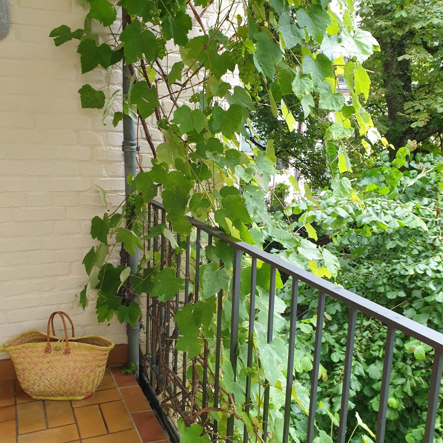 Stilvolle 5-ZKB, Balkon-Wohnung im Staden-Viertel in Denkmalschutzobjekt – Saarbrücken – Vorschaubild 13