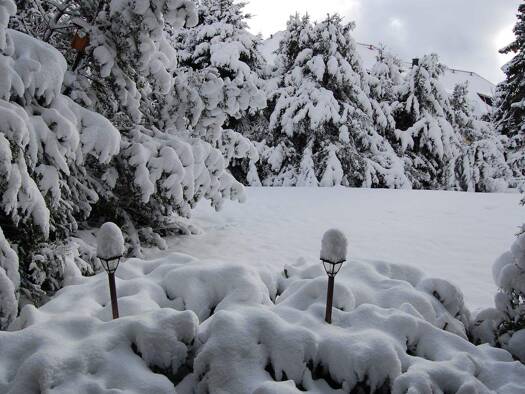 Wohnung zum Kauf 49.000 € 1 Zimmer 37,3 m² EG frei ab sofort Theodor-Hein-Straße 1 Hahnenklee Goslar 38644