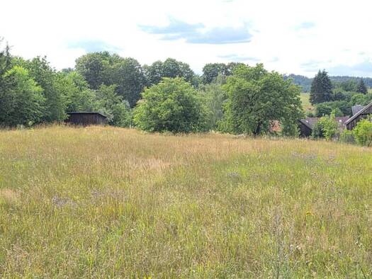 Grundstück zum Kauf 1.400 CZK Studánka 34701