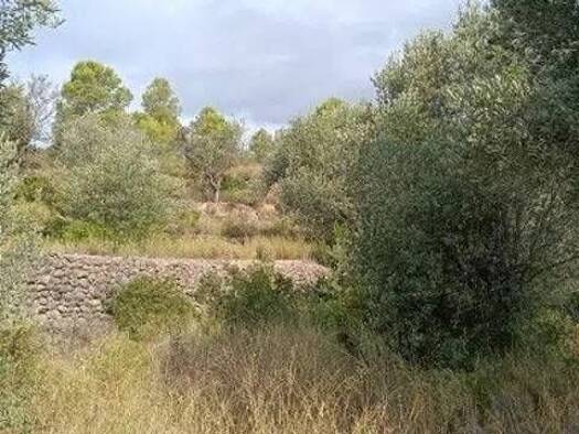 Grundstück zum Kauf 25.000 € Camino Vial, 2 Garcia 43749