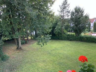 Wohnung zur Miete 515 € 3 Zimmer 76,3 m² 1. Geschoss frei ab 01.07.2025 Bachstr. 4 Bad Meinberg Horn-Bad Meinberg 32805