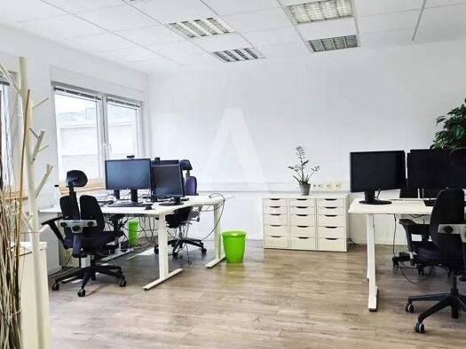 Büro zur Miete 11,50 € 270 m² Bürofläche teilbar ab 90 m² Frechen 50226