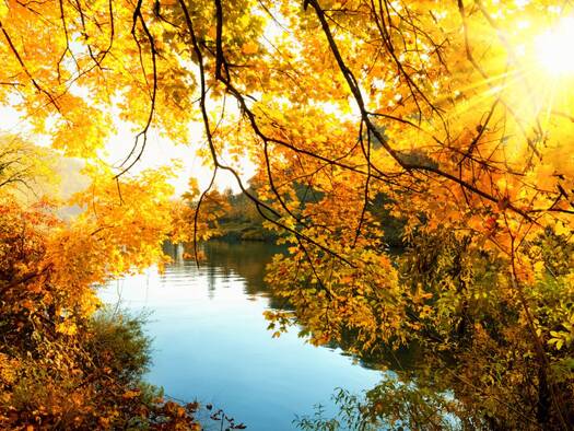 Grundstück zum Kauf 3.790.000 € 1.300 m² Grundstück Grünwald 82031