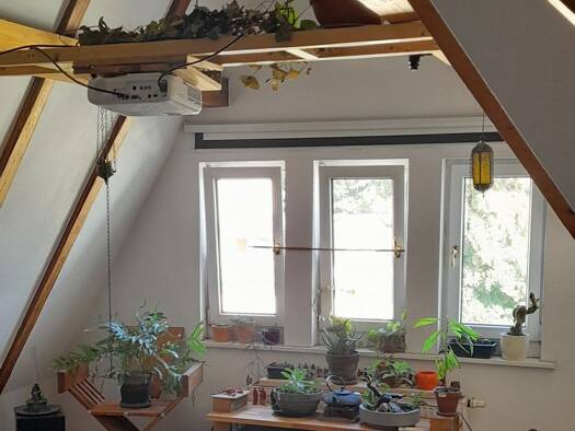 Wohnung zum Kauf 198.000 € 2 Zimmer 62,5 m² Süd Jena 07745