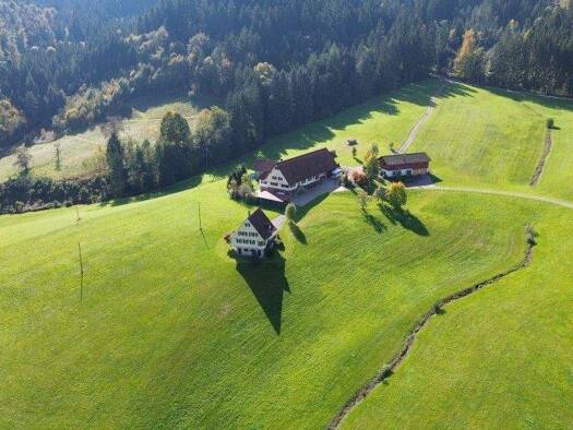 Haus zum Kauf 408 m² 543.089 m² Grundstück Ibach Oppenau 77728