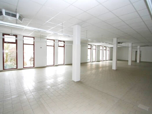 Laden zur Miete provisionsfrei 4.980 € 729 m² Verkaufsfläche August-Bebel-Strasse 11a Taucha 04425