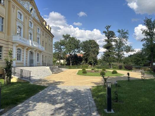 Bürofläche zur Miete provisionsfrei 699 € 1 Zimmer 116,5 m² Bürofläche teilbar ab 116,5 m² Wachau Wachau 01454