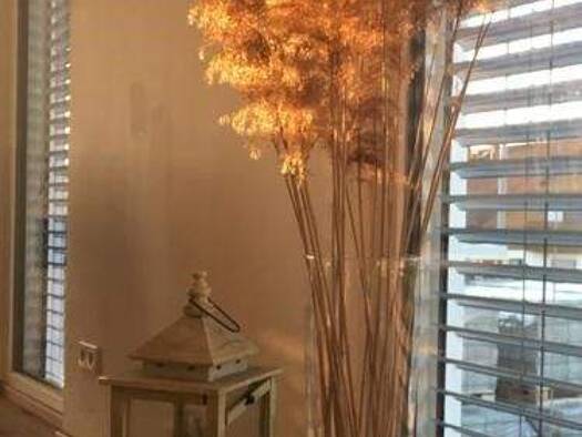 Einfamilienhaus zum Kauf 499.247 € 4 Zimmer 122 m² 731 m² Grundstück Dietenhan Wertheim 97877