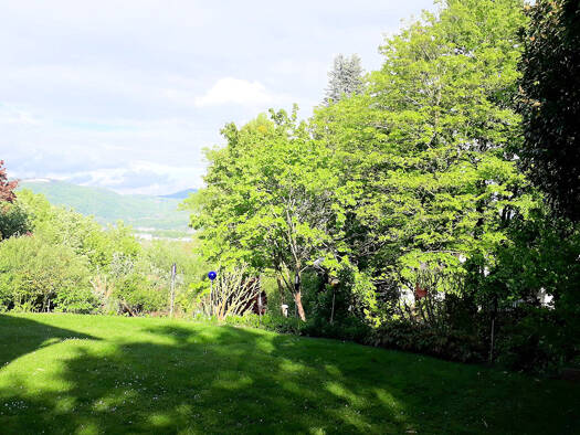 WG-Zimmer zur Miete Wohnen auf Zeit 795 € 20 m² 1. Geschoss frei ab sofort Muffendorf Bonn 53177