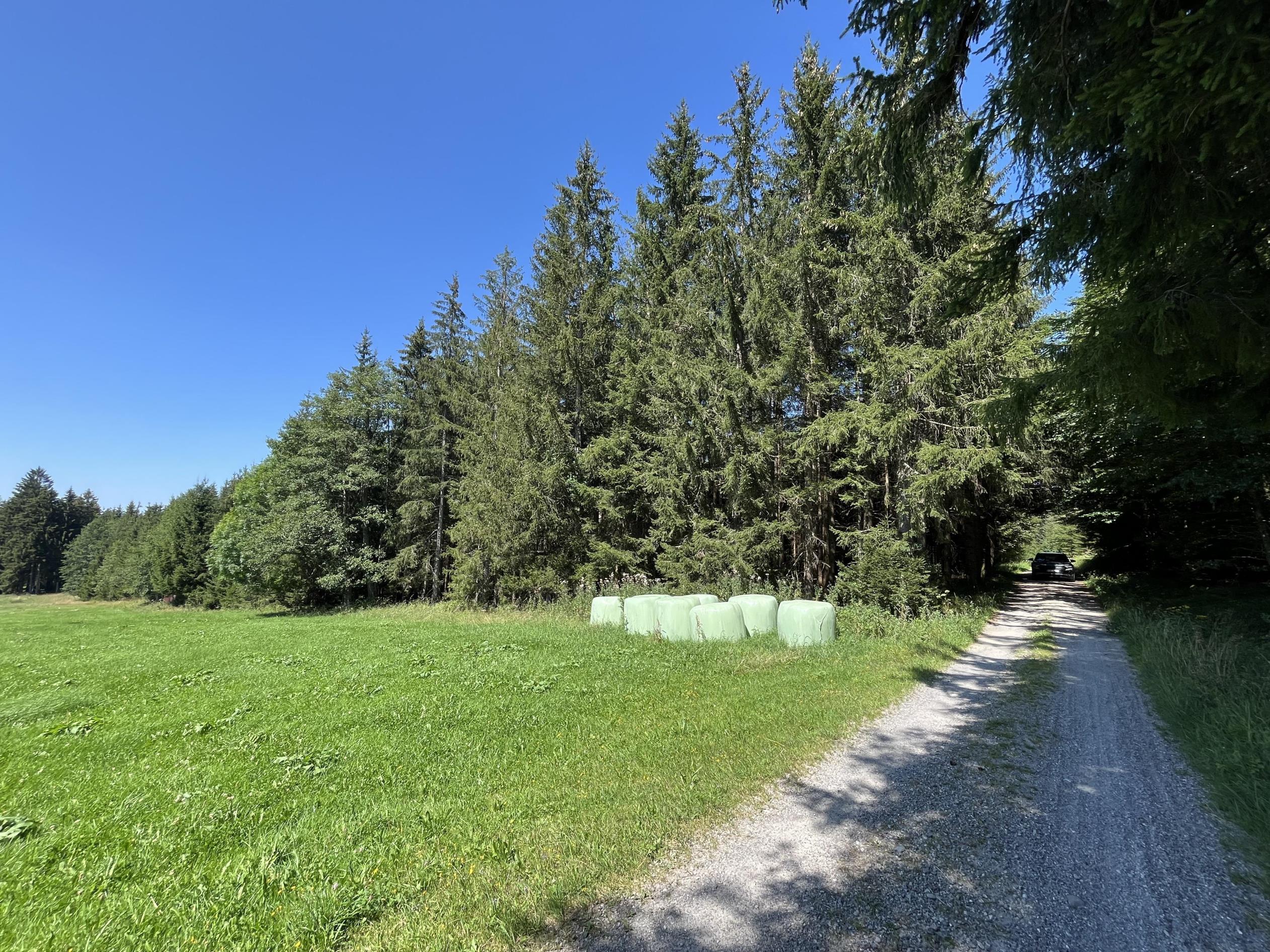 Land-/Forstwirtschaft zum Kauf 31.000 € 5.760 m²<br/>Grundstück Durach Durach 87471