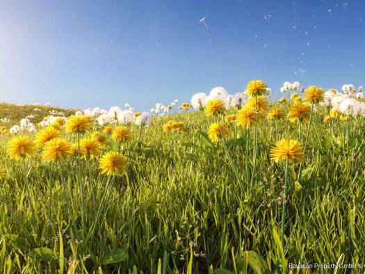 Land-/Forstwirtschaft zum Kauf 33.000 € 7.156 m² Grundstück Geiselhöring 94333