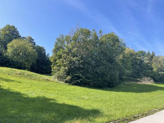 Land-/Forstwirtschaft zum Kauf 140.000 € Murnau Murnau am Staffelsee 82418