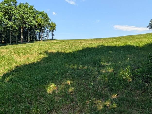 Grundstück zum Kauf 299.000 € 1.300 m² Grundstück Falkendorf Aurachtal 91086