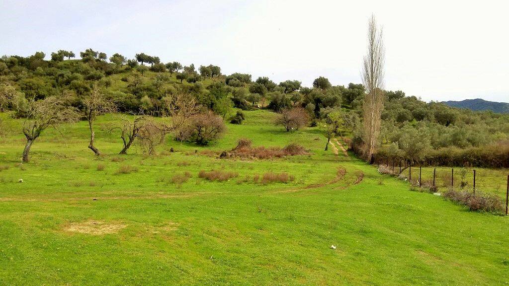 Land-/Forstwirtschaft zum Kauf 200.000 € 3.300 m² Grundstück Chalkidiki