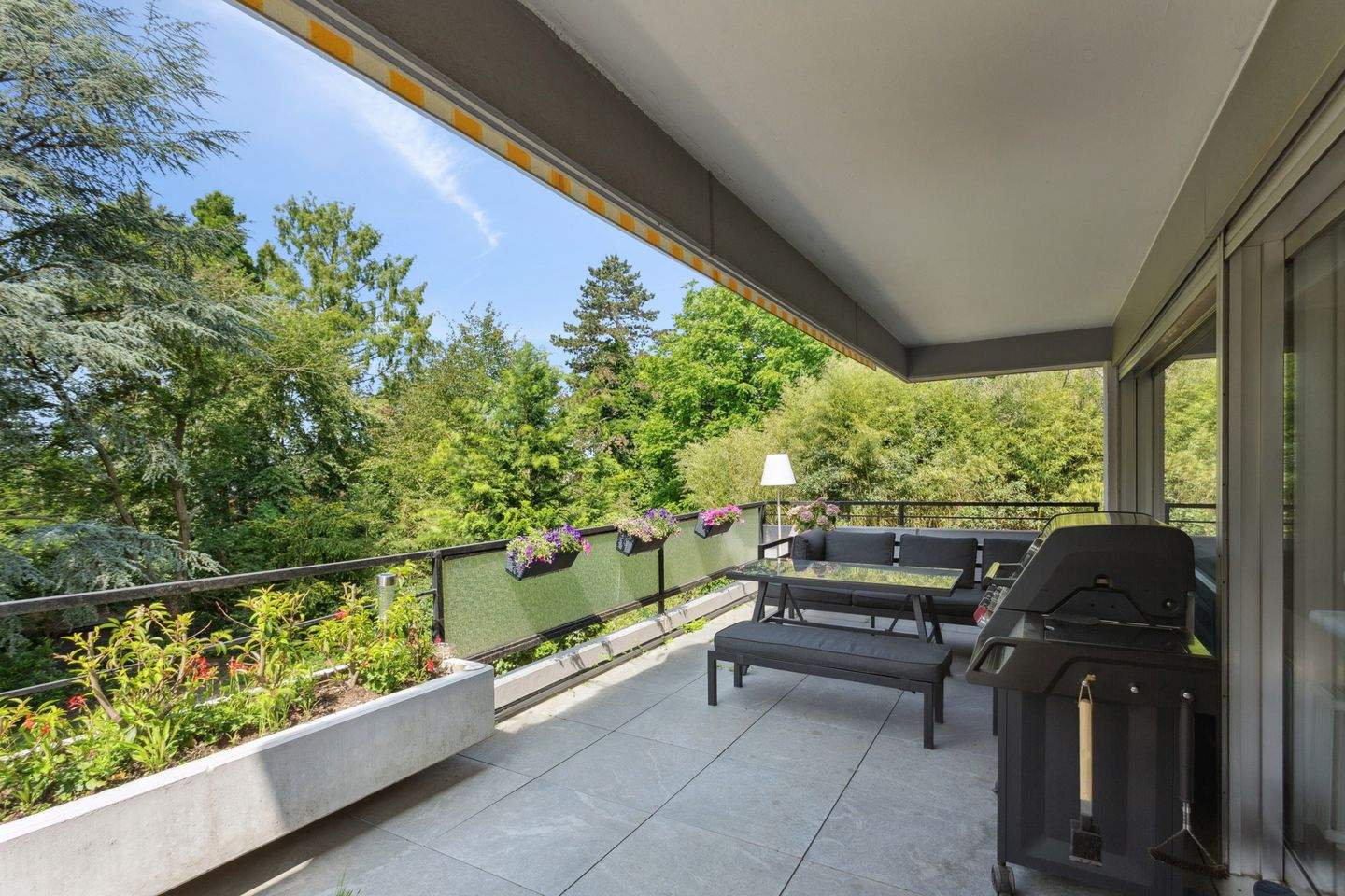 Property thumbnail 3