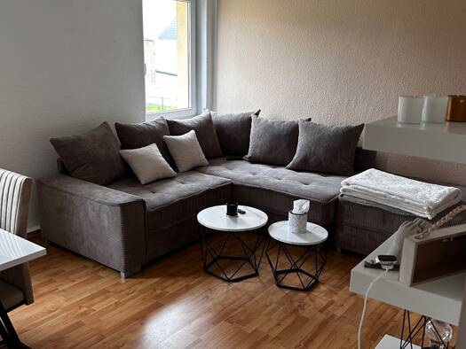 Wohnung zur Miete 290 € 2 Zimmer 53 m² Geschoss 1/2 Schweikershain Erlau 09306