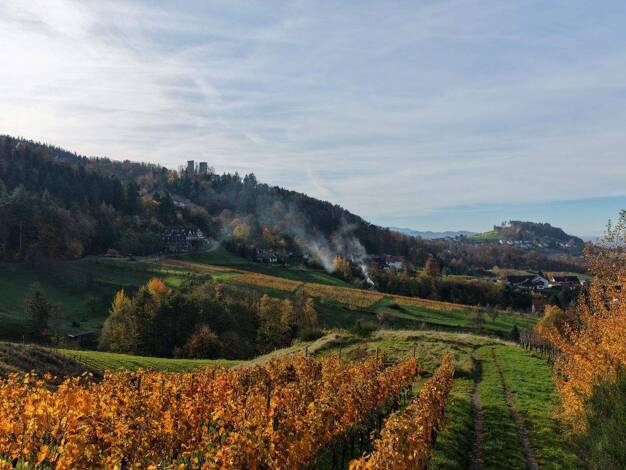 Land-/Forstwirtschaft zum Kauf 3.600 € 768 m² Grundstück Stadtgebiet Bühl 77815