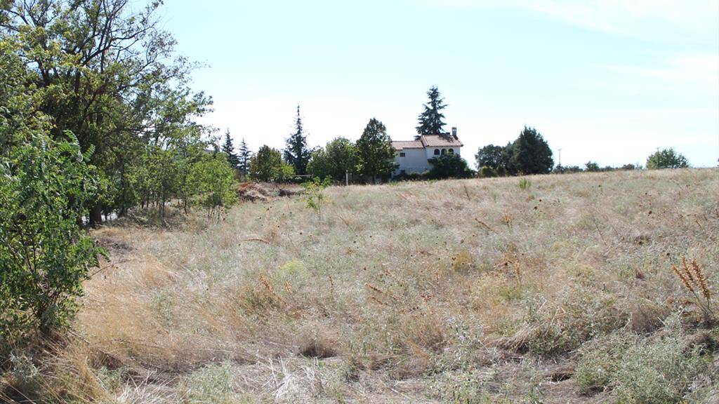 Land-/Forstwirtschaft zum Kauf 200.000 € Chalkidiki