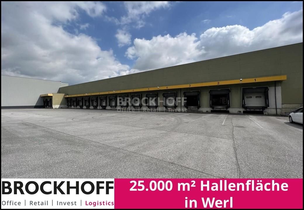 Halle/Industriefläche zur Miete 25.000 m²<br/>Lagerfläche ab 12.000 m²<br/>Teilbarkeit Stadtzentrum Werl 59457