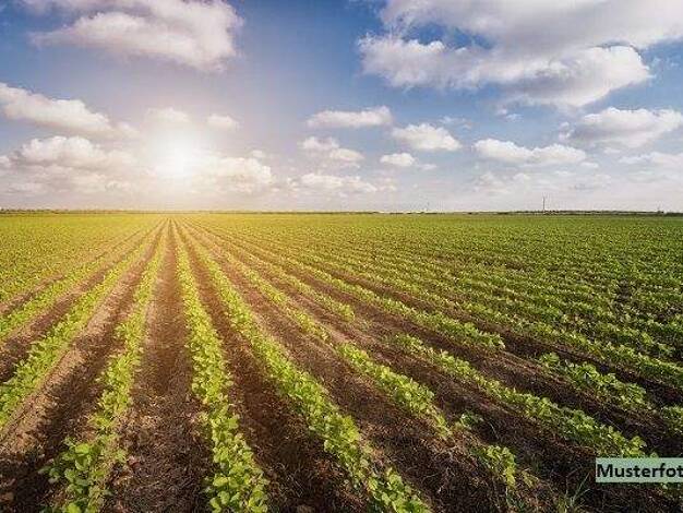 Land-/Forstwirtschaft zum Kauf 87.959 € 52.741 m² Grundstück Löschenhirschbach Neuenstein-Kesselfeld 74632