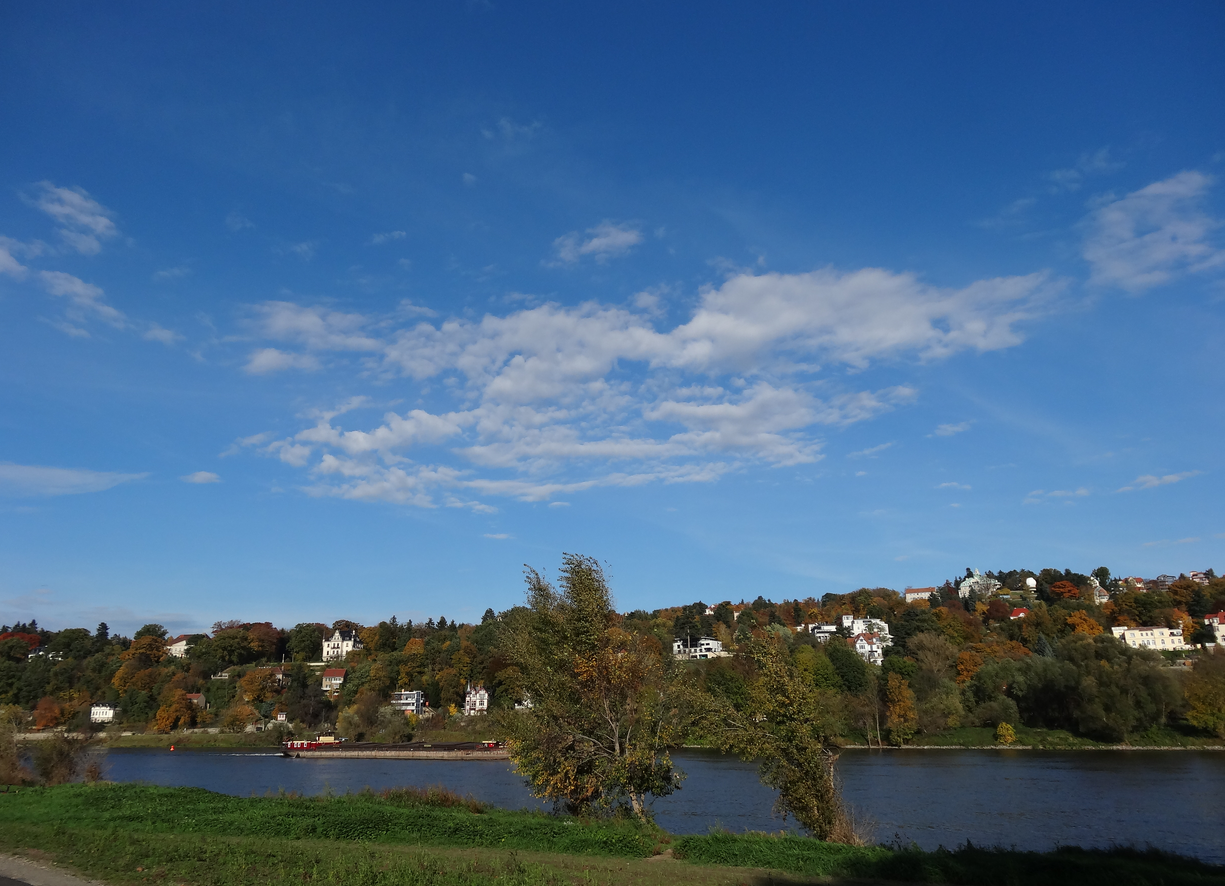 Pflegeheim zum Kauf als Kapitalanlage geeignet 2.750 m²<br/>Fläche 40.000 m²<br/>Grundstück Stetzsch Dresden 01157