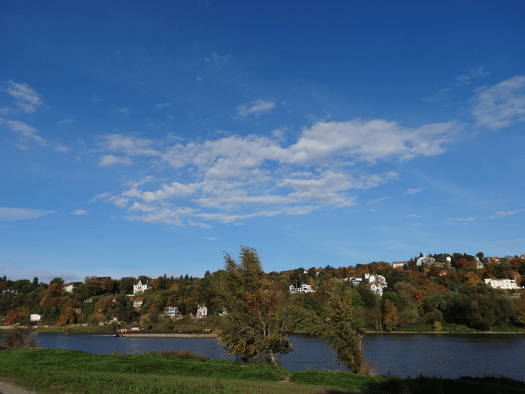 Pflegeheim zum Kauf als Kapitalanlage geeignet 2.750 m² 40.000 m² Grundstück Briesnitz Ortsamtsbereich Cotta 01157