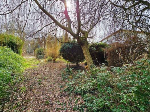 Einfamilienhaus zum Kauf 45.000 € 70 m² 658 m² Grundstück Mosigkau Dessau-Roßlau 06847