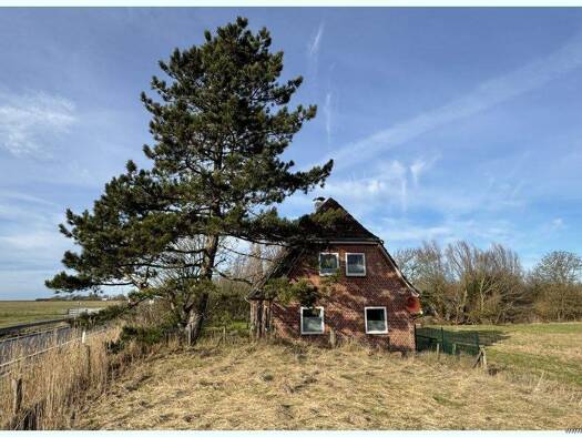 Einfamilienhaus zum Kauf provisionsfrei 278.000 € 5 Zimmer 99 m² 494 m² Grundstück Osterhever Osterhever / Mühlendeich 25836