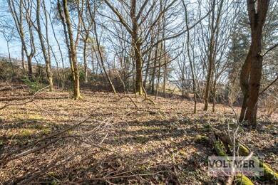 Grundstück zum Kauf 260.000 € 1.907 m² Grundstück Kohlhof Neunkirchen/Saar 66539