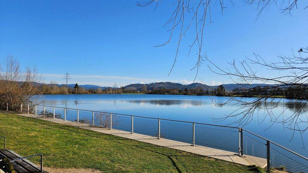 Studio zum Kauf 149.000 € 1 Zimmer 55 m² 4. Geschoss frei ab sofort Südweststadt Offenburg 77656