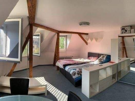 Studio zur Miete 690 € 1 Zimmer 36 m² Altstadt Konstanz 78462