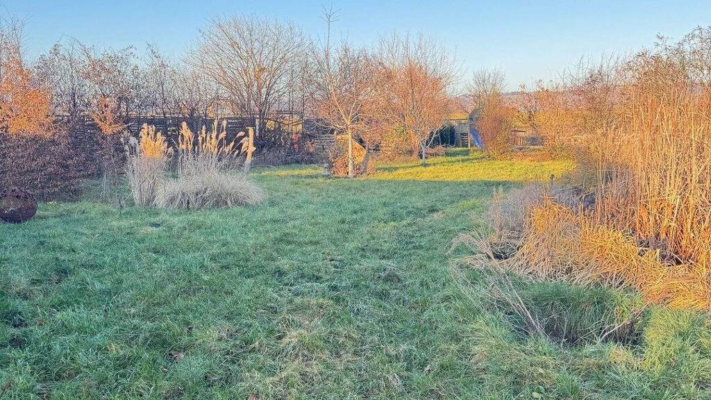 Mehrfamilienhaus zum Kauf 495.000 € 1 Zimmer 200 m² 2.055 m² Grundstück Gohlis Dresden 01156