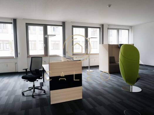 Bürofläche zur Miete provisionsfrei 15,50 € 6.128 m² Bürofläche teilbar ab 217 m² Kaiserlei Offenbach am Main 63067