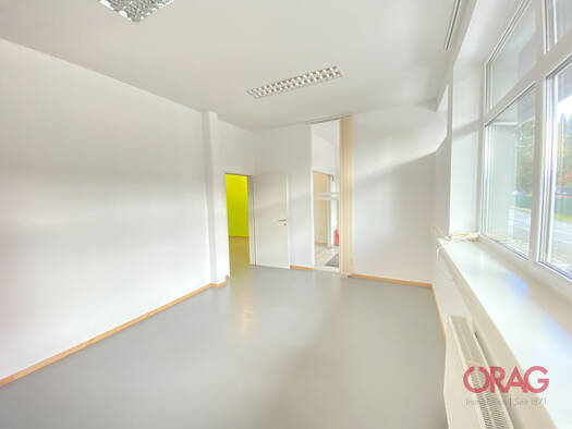 Bürofläche zur Miete 12 € 225 m² Bürofläche Hallwang 5300