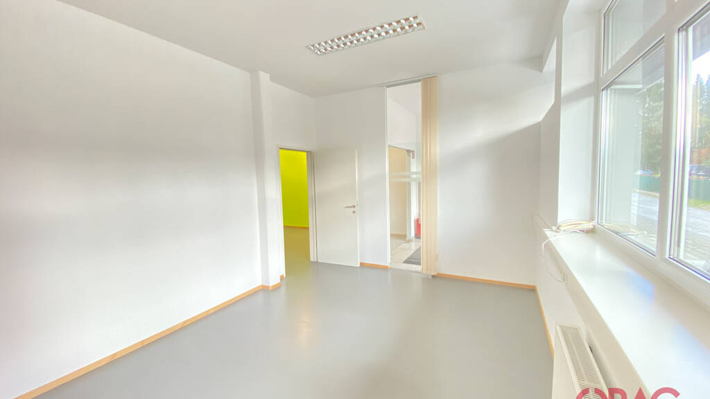 Bürofläche zur Miete 12 € 225 m² Bürofläche Hallwang 5300