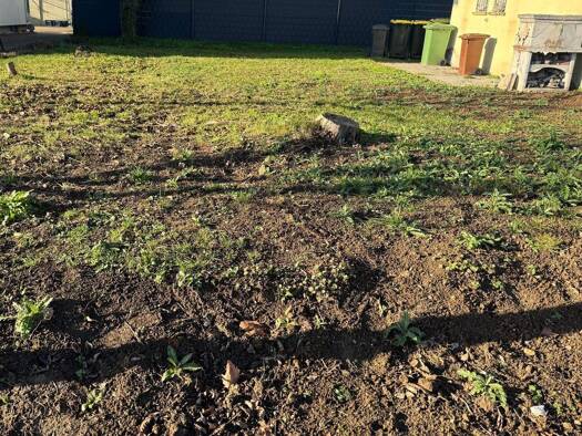 Grundstück zum Kauf 259.000 € 188 m² Grundstück Baugenehmigung vorhanden frei ab sofort Markgröningen 71706