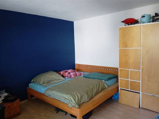Wohnung zum Kauf 109.000 € 1 Zimmer 30,2 m² 2. Geschoss Stadtmitte Neu-Ulm 89231