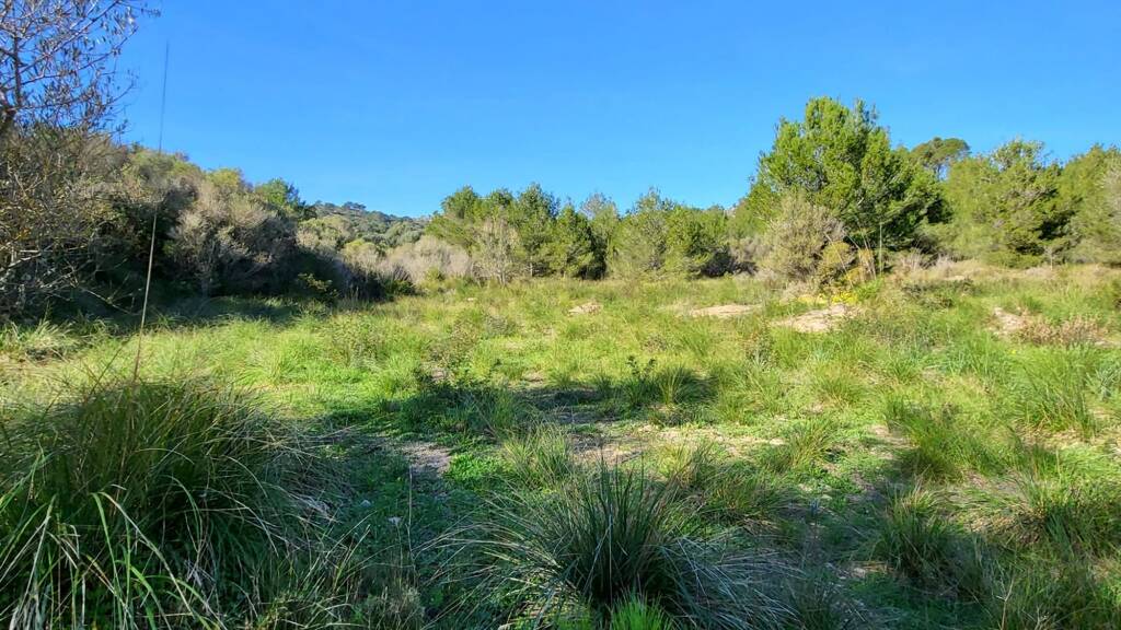 Landhaus zum Kauf 390.000 € 17.420 m² Font de Sa Cala 07589