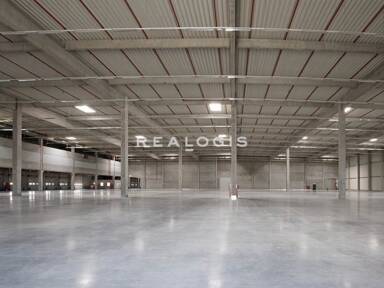 Halle/Industriefläche zur Miete 10.300 m² Lagerfläche teilbar ab 5.000 m² Flierich Bönen 59199
