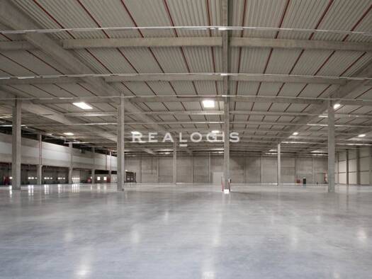 Halle/Industriefläche zur Miete 10.300 m² Lagerfläche teilbar ab 5.000 m² Flierich Bönen 59199