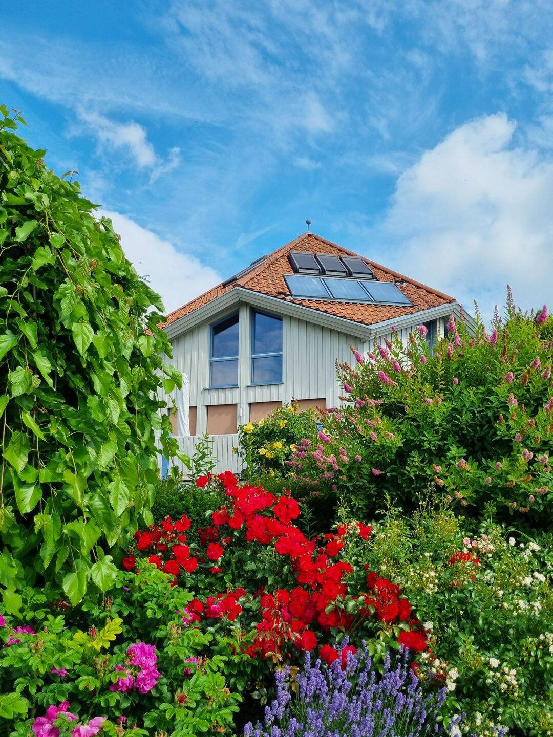Einfamilienhaus zum Kauf - Ansicht 3