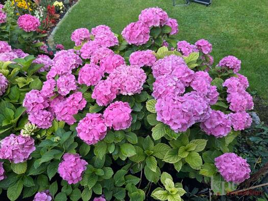 Maisonette zur Miete 1.990 € 5 Zimmer 148 m² 1. Geschoss frei ab sofort Berg 82335