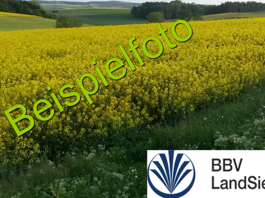 Land-/Forstwirtschaft zum Kauf 80.000 m² Grundstück Höchstadt Höchstadt a.d.Aisch 91315