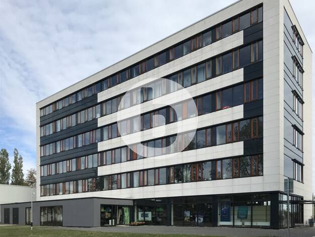 Bürogebäude zur Miete provisionsfrei 9,50 € 425 m² Bürofläche teilbar ab 156 m² Bergedorf Hamburg 21029