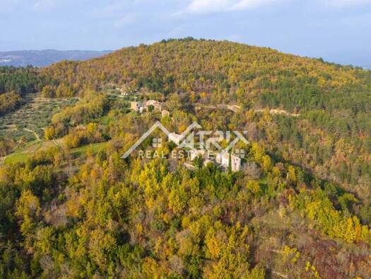 Land-/Forstwirtschaft zum Kauf 299.000 € Motovun Motovun