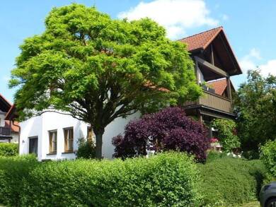 Wohnung zum Kauf 289.000 € 3 Zimmer 71 m² 2. Geschoss Eschbach Usingen 31250