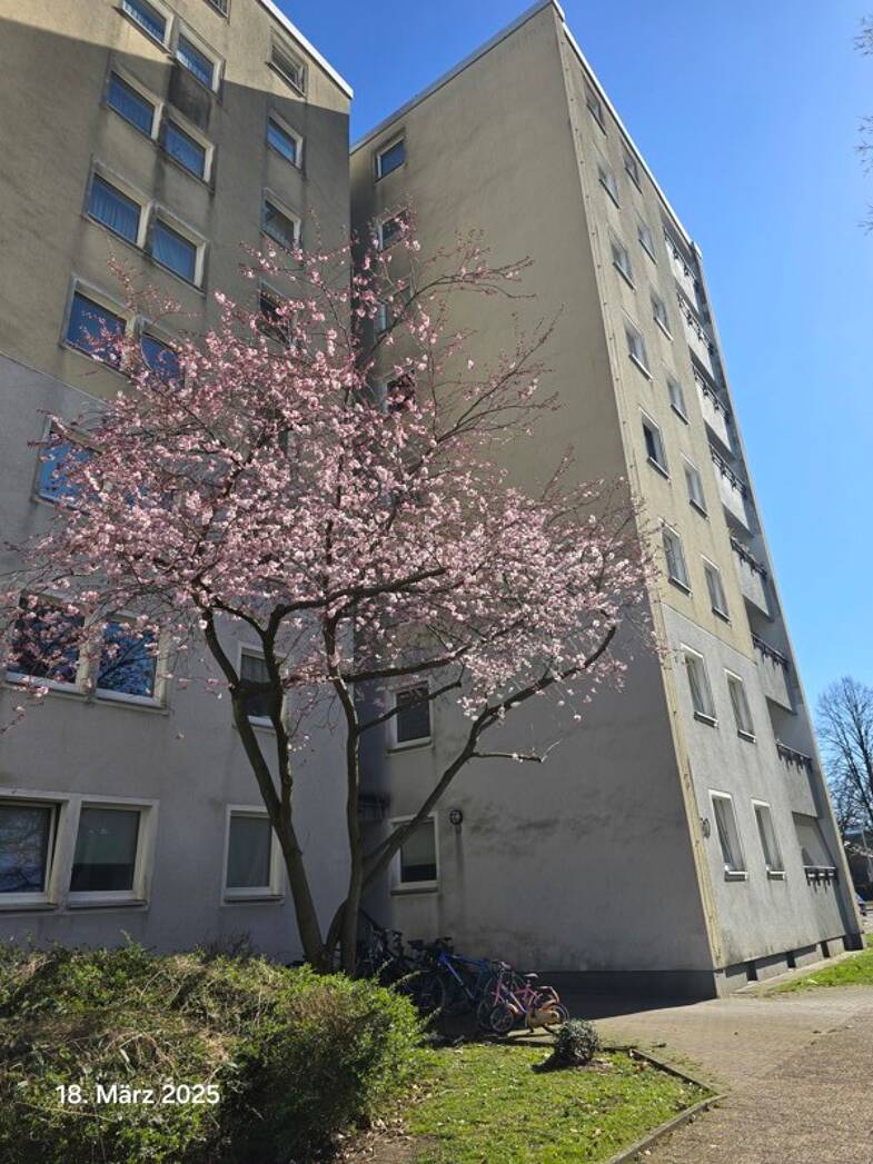 Wohnung mieten in CastropRauxel immowelt